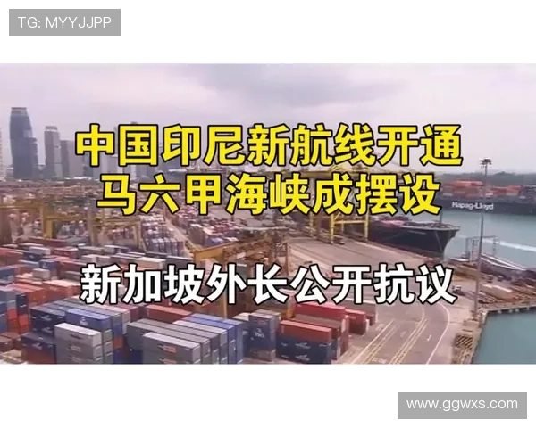 印尼队2023复兴:重塑球队信心,迎来国际赛场新挑战 印尼队2023复兴:重塑球队信心,迎来国际赛场新挑战