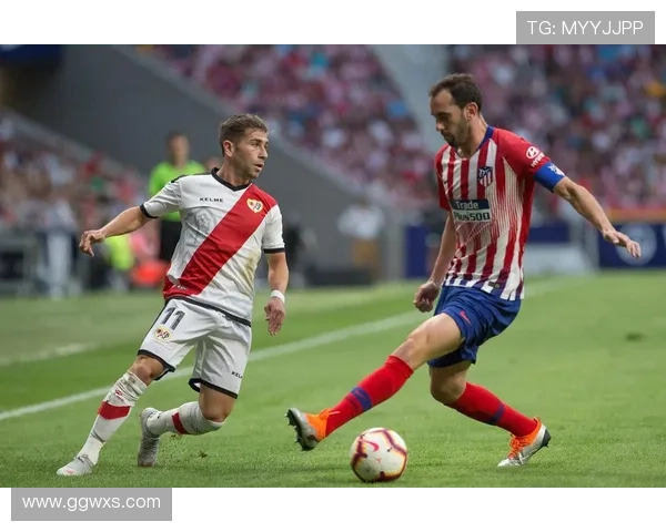 巴列卡诺新赛季阵容调整，年轻人才表现值得关注