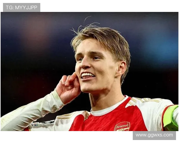 B费与厄德高：体系核心角色差异解析