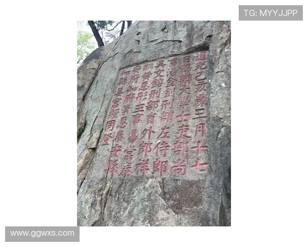 山东泰山节奏混乱加剧，失控表现背后暴露战术与稳定性问题